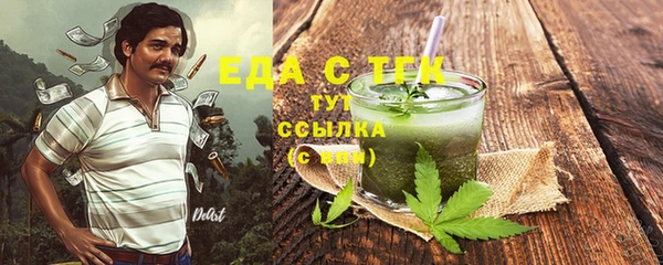 хмурый Гусев