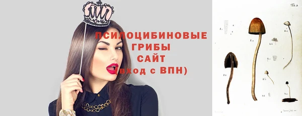 хмурый Гусев