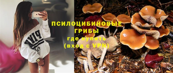 2c-b Гусь-Хрустальный