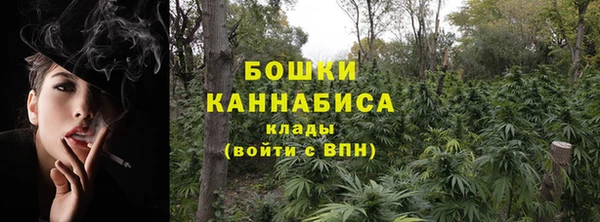 хмурый Гусев