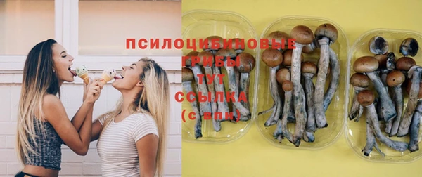 марихуана Гусиноозёрск