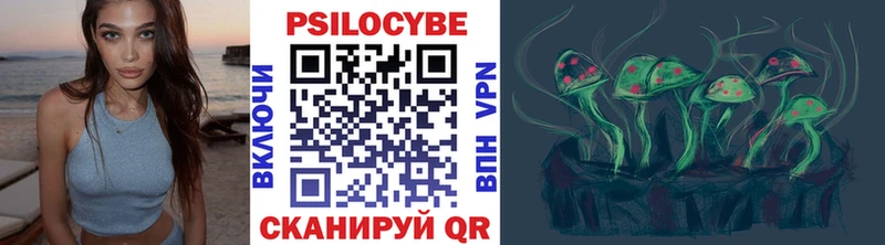 Купить  Королёв  Псилоцибиновые грибы GOLDEN TEACHER 