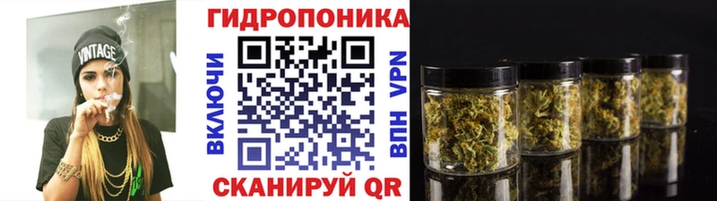 Купить закладки  Королёв  Конопля White Widow 